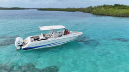 BOSTON WHALER 32