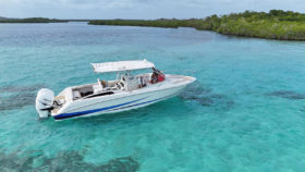 BOSTON WHALER 32