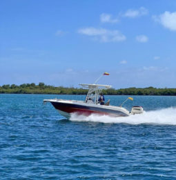 
										AQUANAUTI OPEN 21 full									