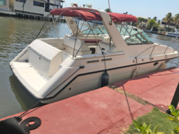 
										CHAPARRAL 31 full									