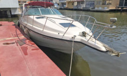 
										CHAPARRAL 31 full									