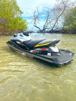 
										JET SKI KAWASAKI SUPERCHARGED full									