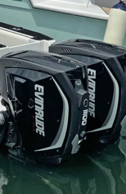 PAREJA MOTORES EVINRUDE E-TEC G2 300HP