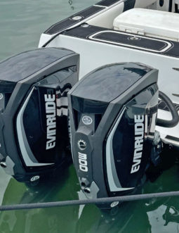 PAREJA MOTORES EVINRUDE E-TEC G2 300HP