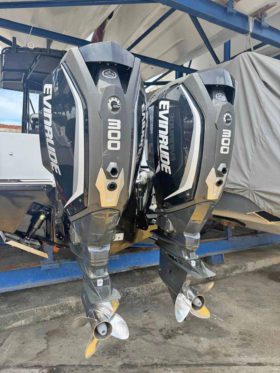 PAREJA MOTORES EVINRUDE E-TEC G2 300HP