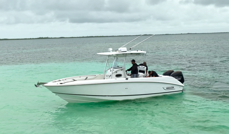 
								BOSTON WHALER OUTRAGE 28 full									
