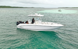 
										BOSTON WHALER OUTRAGE 28 full									