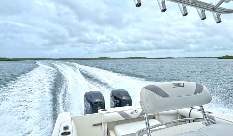 
								BOSTON WHALER OUTRAGE 28 full									