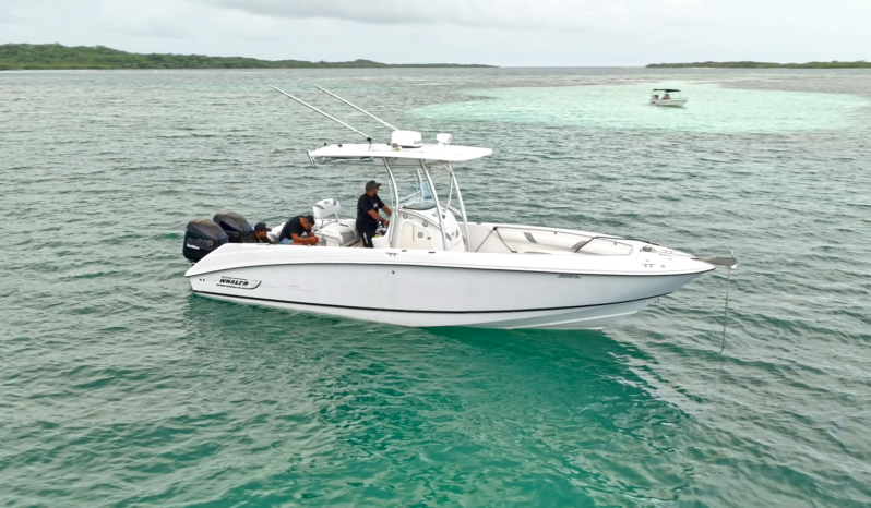 
								BOSTON WHALER OUTRAGE 28 full									