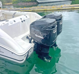 
										BOSTON WHALER OUTRAGE 28 full									