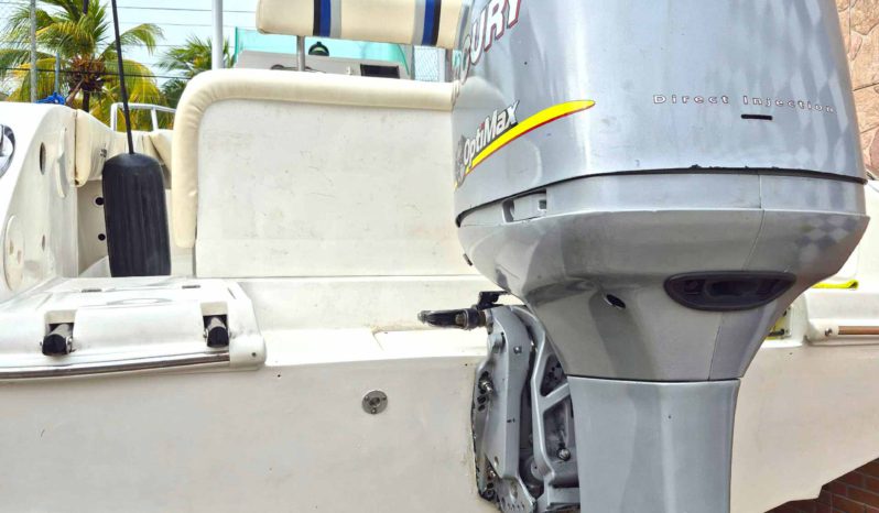 
								INTERMARINE OPEN 24 full									