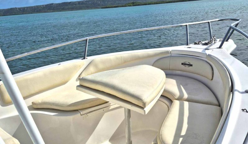 
								INTERMARINE OPEN 24 full									