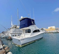 LUHRS 41