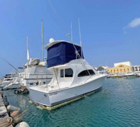 LUHRS 41