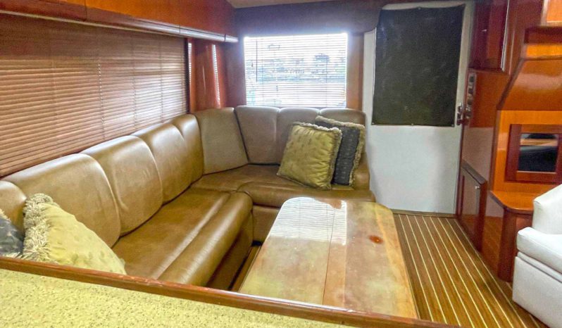 
								LUHRS 41 full									
