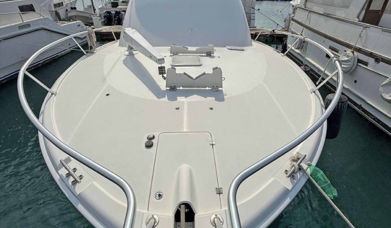 
								LUHRS 41 full									