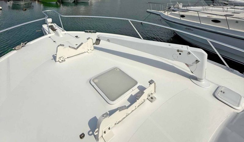 
								LUHRS 41 full									