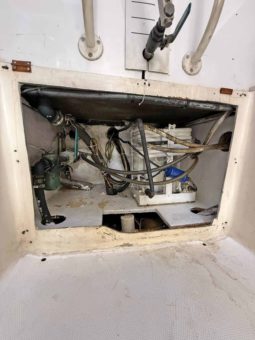 
										LUHRS 41 full									