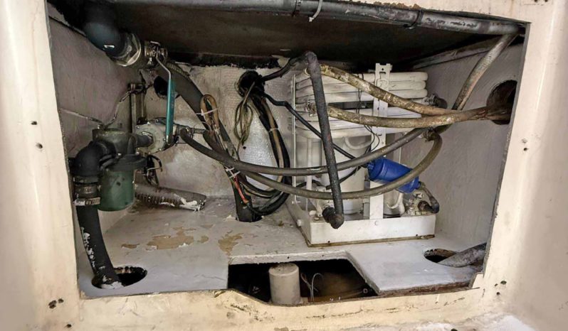 
								LUHRS 41 full									