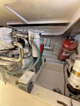 
										LUHRS 41 full									