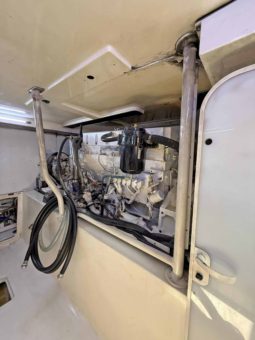 
										LUHRS 41 full									