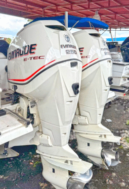 PAREJA EVINRUDE E-TEC 250HP