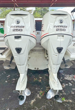 PAREJA EVINRUDE E-TEC 250HP