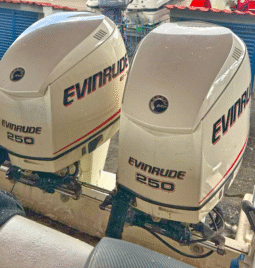 PAREJA EVINRUDE E-TEC 250HP