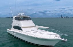 
										RIVIERA ENCLOSED BRIDGE 51 full									