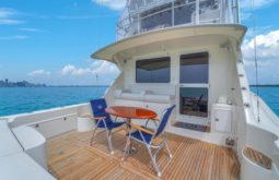 
										RIVIERA ENCLOSED BRIDGE 51 full									