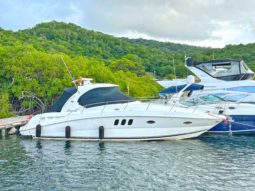 SEA RAY SUNDANCER 38