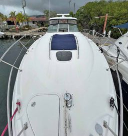 
										SEA RAY SUNDANCER 38 full									