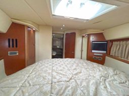 
										SEA RAY SUNDANCER 38 full									