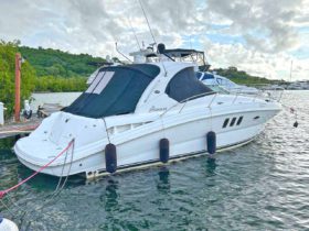 SEA RAY SUNDANCER 38