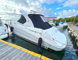 SEA RAY SUNDANCER 38