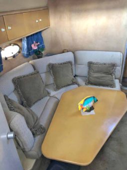 
										SUNSEEKER EXPRESS 38 full									