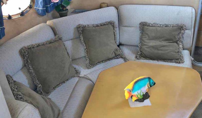 
								SUNSEEKER EXPRESS 38 full									