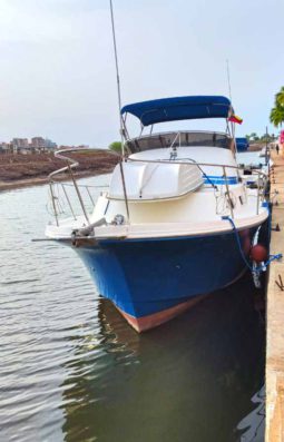 ALBIN 32