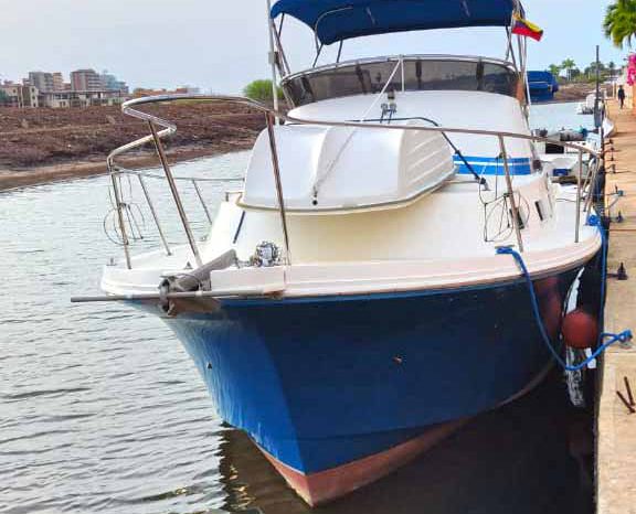 
								ALBIN 32 full									