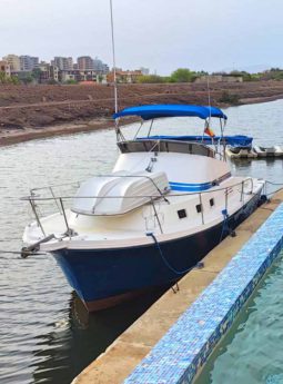 
										ALBIN 32 full									