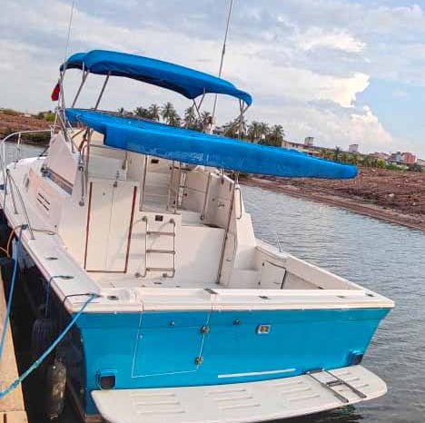 
								ALBIN 32 full									