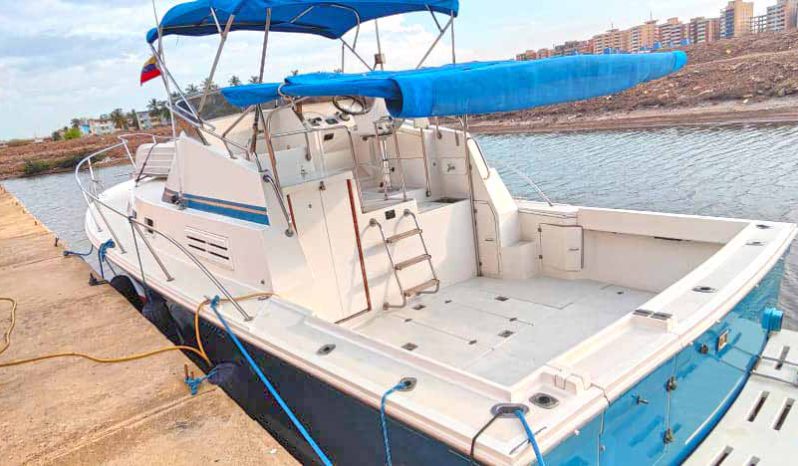 
								ALBIN 32 full									