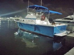 
										ALBIN 32 full									