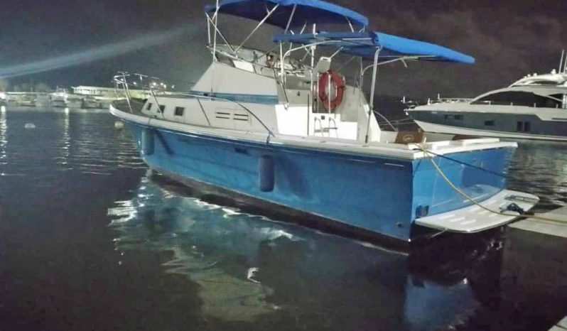 
								ALBIN 32 full									