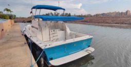 
										ALBIN 32 full									