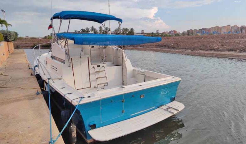 
								ALBIN 32 full									
