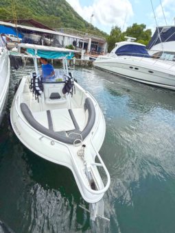 
										AQUANAUTI OPEN 21 full									