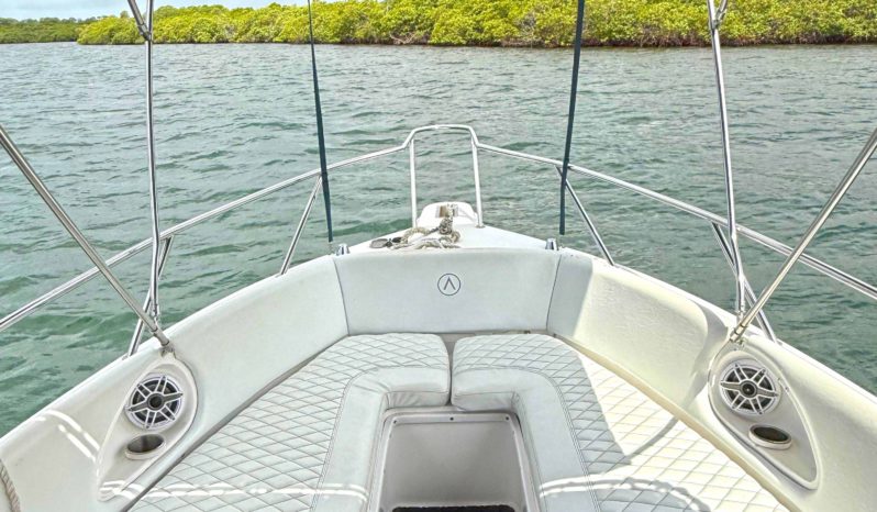 
								AQUANAUTI OPEN 24 full									
