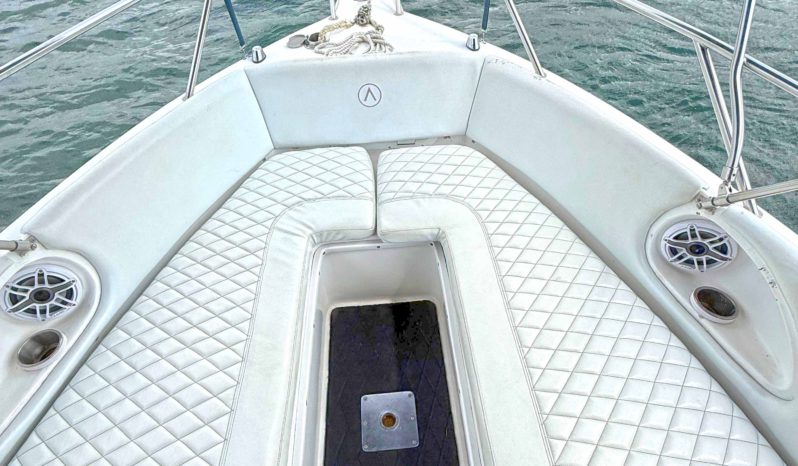 
								AQUANAUTI OPEN 24 full									