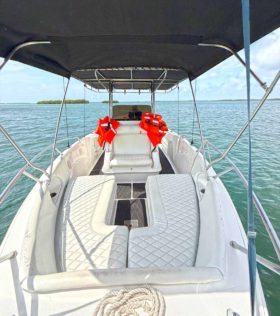 AQUANAUTI OPEN 24